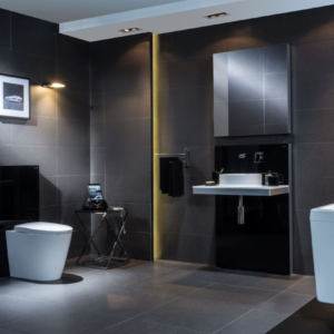 WC sur pied avec module de rinçage Geberit Monolith